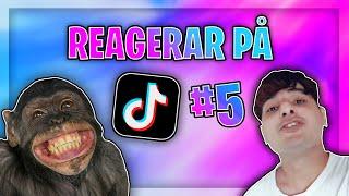 TIKTOK ÄR HELT EFTERBLIVET... Reagerar På TikTok #5