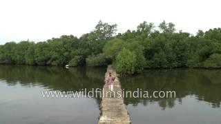 Koggala Lake near Galle in Sri Lanka