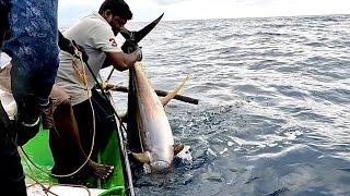 Back to Back 40 Kg Tuna Fish Caught in the Deep Sea
