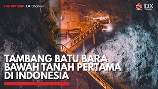 Tambang Batu Bara Bawah Tanah Pertama di Indonesia  IDX CHANNEL