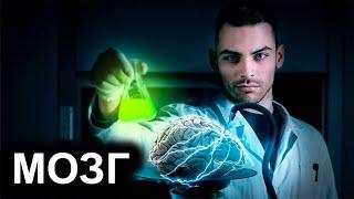 Человеческий Мозг .10 Интересных Фактов.