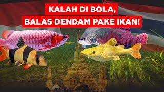 KALAH DI BOLA INDONESIA AKAN KALAHKAN THAILAND LEWAT IKAN HIAS