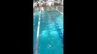 Gabriella swimming 100m beast stroke - 2015 01 23 15 50 26