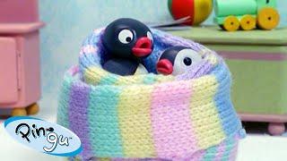 Pingu Gets Creative   Fisher-Price  Cartoons For Kids