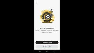Beginners Guide to Epic in Stack Wallet Mobile Version