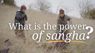 The Power of Sangha  A Short Film with the Words of Thich Nhat Hanh