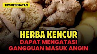 TIPS KESEHATAN KITA - MANFAAT KENCUR