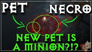 The New Pets Are MINIONS?? And Its Breaking The Necromancer Again...