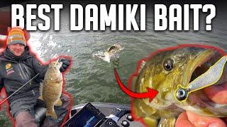 The BEST DAMIKI RIG Lure For Winter Bass Fishing LIVESCOPE FISHING