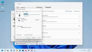 How to Remove Background Noise from Microphone on Windows 11  10  How to Enable Noise Cancellation