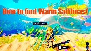 Where to find Warm Safflina Zelda botw