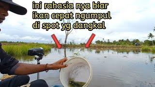 cara cepat pengumpul ikan di spot yg dangkal