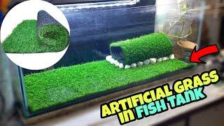 Fish Tank Decoration Ideas with Artificial Grass Fish Tank Setup