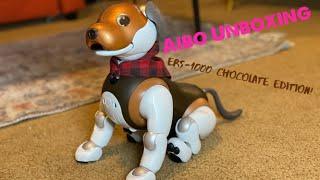 Sony Aibo Unboxing ERS-1000 Chocolate Edition