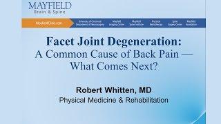 Facet Joint DegenerationArthritis A Common Cause of Back Pain...What Comes Next?
