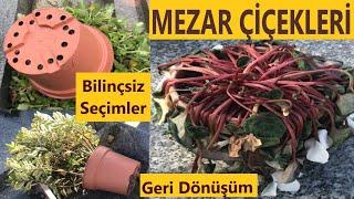 MEZAR ÇİÇEKLERİ  Mezara Hangi Çiçek Alınır Ekilir?  Krizantem  Kasımpatı  Geri Dönüşüm