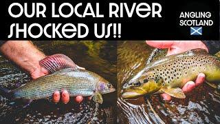 Fishing for brown trout on our local river with surprising results