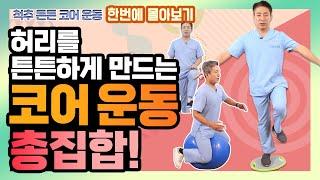 허리에 좋은 ‘코어 운동’ 다 모았다 집에서 간단하게 할 수 있는 코어 근육 강화 운동 몰아보기  - 이경석의 척추88 - 코어근육운동