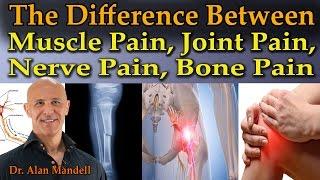 The Difference Between Muscle Pain Joint Pain Nerve Pain & Bone Pain - Dr Mandell