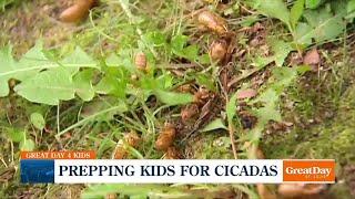 Getting children set for cicada season