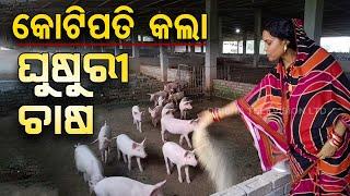 Special Story Odisha Woman Turns Millionaire Through White Pig Farming Initiative