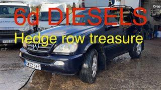 Hedge row treasure….. package deal 4x4 buying
