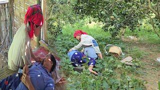 Single mother hired to break corn to get money to buy rice and help the old woman who fainted 