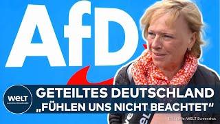 EUROPAWAHL 2024 Gespaltenes Deutschland Warum der Osten die AFD wählt