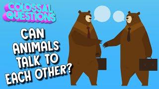 Do Animals Talk To Each Other?  Spirit Riding Free presents COLOSSAL QUESTIONS
