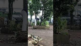 Video penemu THR hari terakhir Bandung