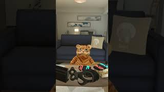 Leaving my cat home alone? Funny Cat video #Shorts #Funny #vrchat