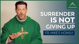 True Surrender  12th Sunday in Ordinary Time Fr. Mikes Homily #sundayhomily