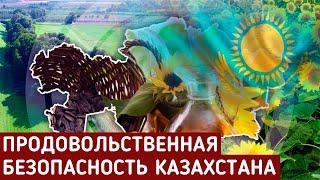 Сельское хозяйства в Казахстане  Новости Казахстана сегодня