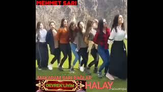 DEVREKLİ TÜRKÜCÜ MEHMET SARI Halay