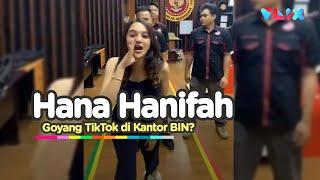 KANTOR BIN BOBOL Joget Jempol Tik-Tok Hana Hanifah Viral