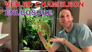 My Veiled Chameleon Enclosure - Check Out His Setup