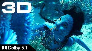 IMAX 3D Teaser • Avatar 2 The Way of Water • Dolby 5.1