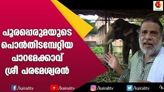 ഗജമേളയിൽ ഗണപതിയായി ആരാധിക്കപ്പെട്ട ശ്രീപരമേശ്വരൻ  Sree Parameswaran  E for Elephant  Kairali TV