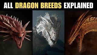 All Dragon Breeds in House of the Dragon Explained