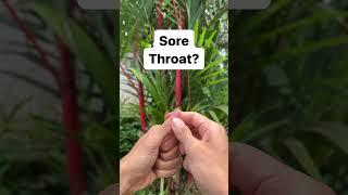 Chinese Medicine Sore Throat Acupoint