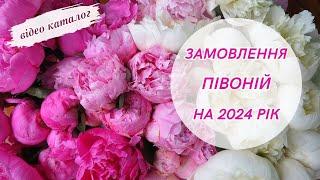 Колективне замовлення півоній з Нідерландів на 2024 рік Новинки та ексклюзивні сорти