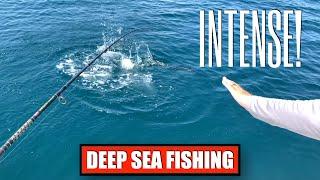 Intense Deep Sea Florida Fishing with Gaff Shot #Short