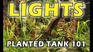 Planted Tank 101 LIGHTS - The Best Aquarium Lighting