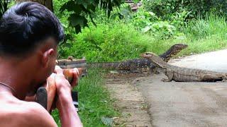 BERBURUBIAWAKBURUNG SAWAH & TUPAI LIAR DI MUSIM BUAH DURIAN