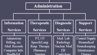 Hospital Organizational Structure