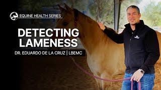 Detecting Lameness in Your Horse