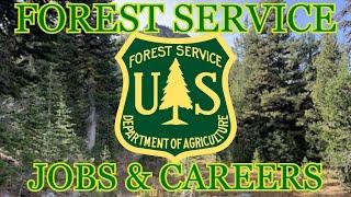 Forest Service Jobs and Careers in Conservation Explained Structure types of work requirements