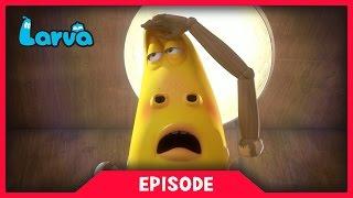 LARVA - LIMBS  2017 Cartoon Movie  Cartoons  Comics  라바  LARVA Official