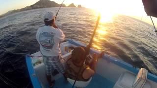 Dorado Fishing in Cabo San lucas on board sushi time panga