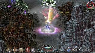 Sacred Battle mage 173lvl Veteran mod Niobium Exp.